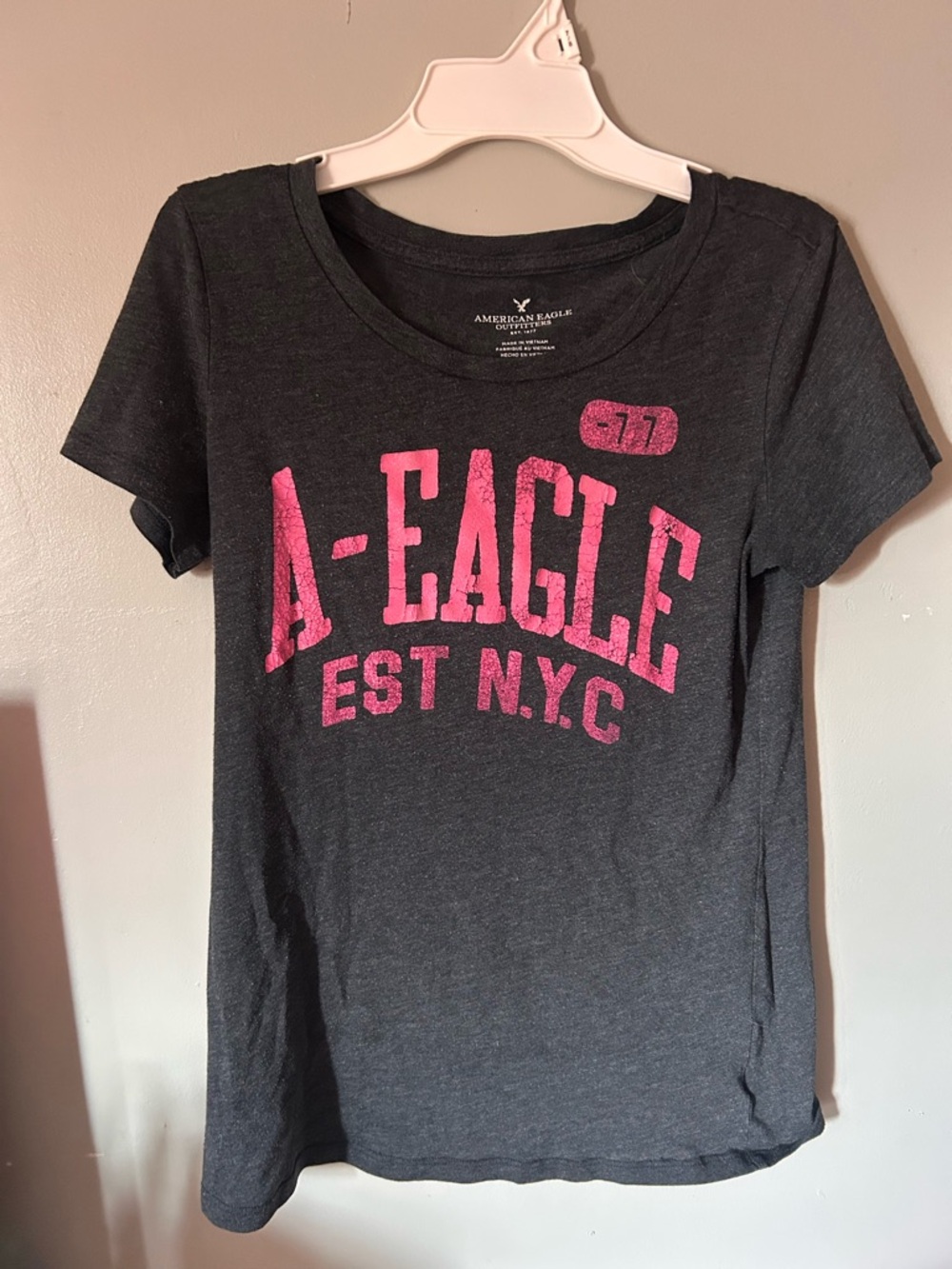 American Eagle Outfitters Charcoal Tee with Pink Print